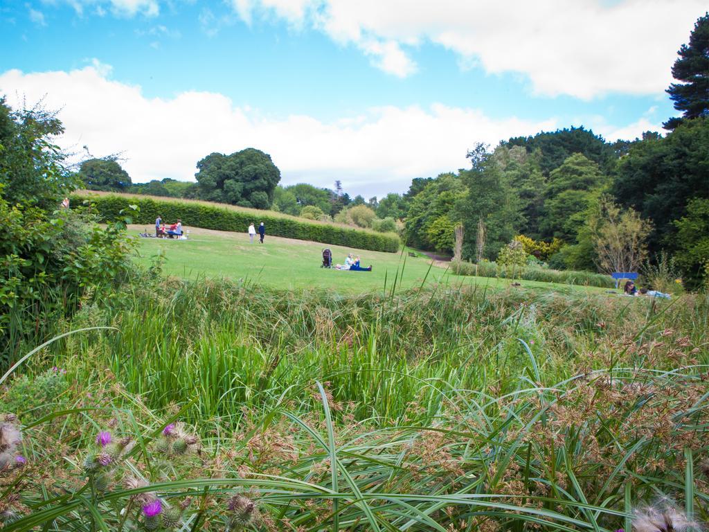 University Of Exeter - Pennsylvania Court Bagian luar foto