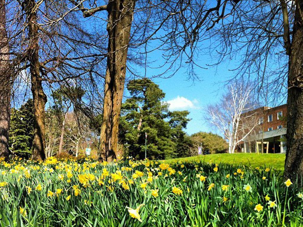 University Of Exeter - Pennsylvania Court Bagian luar foto