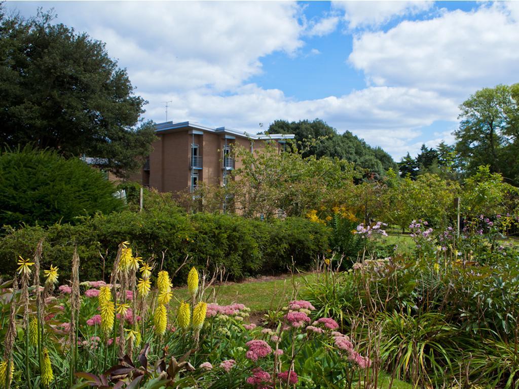 University Of Exeter - Pennsylvania Court Bagian luar foto